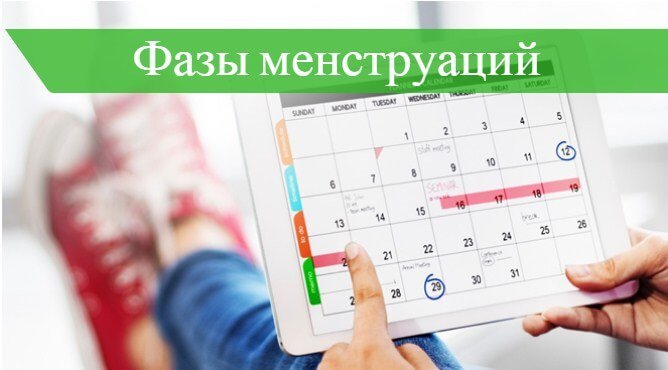 20й день цикла какая фаза