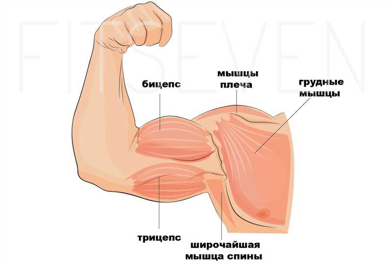 3. Альтернативный односторонний жим гантелей