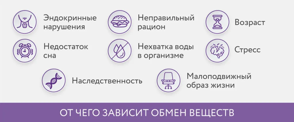 Разнообразие напитков